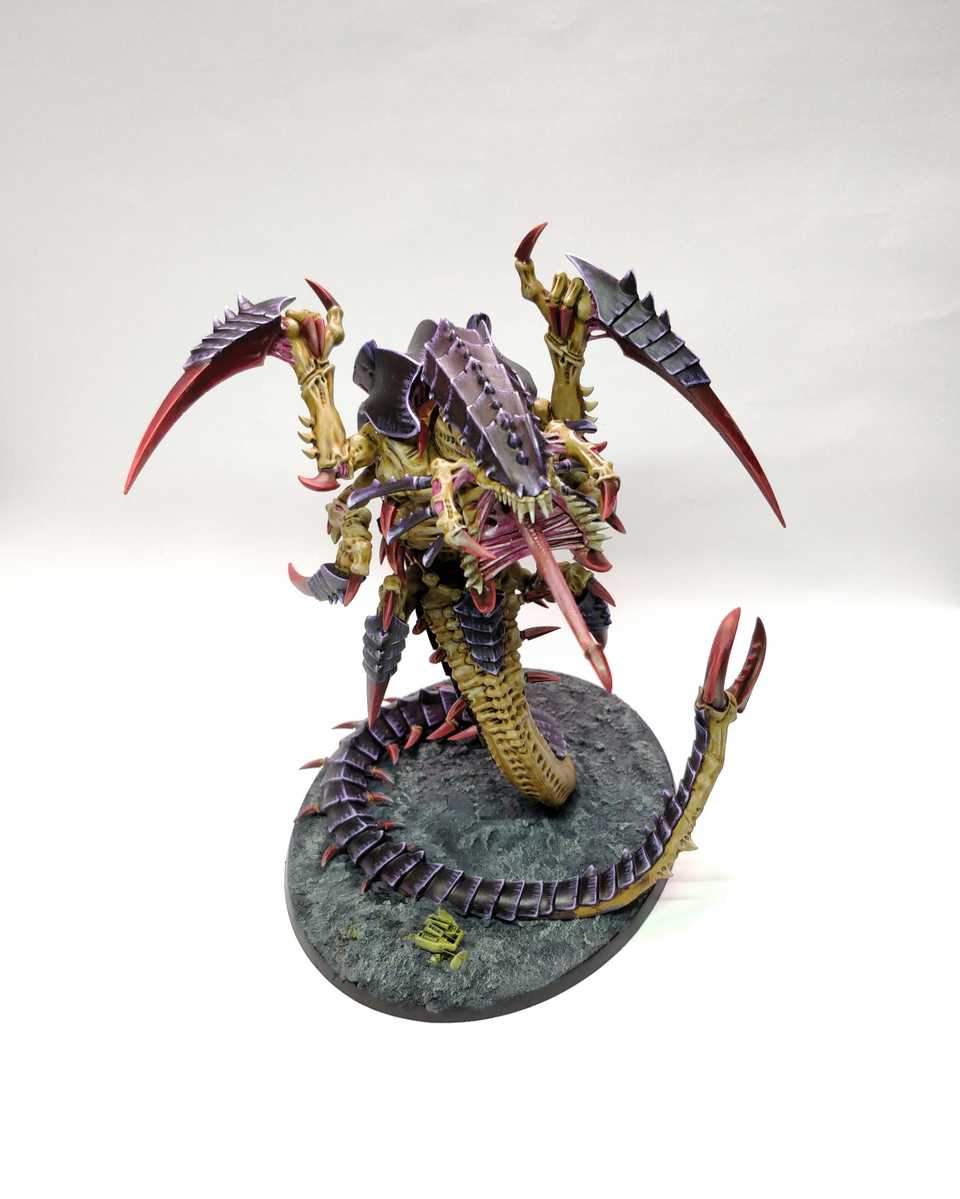 Trygon